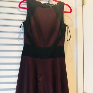 Ralph Lauren Purple & Black A- Line Dress-Size 4